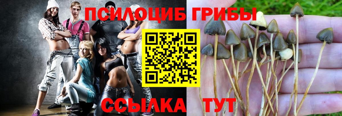 Заводоуковск  хочу наркоту  Вход с VPN  Галлюциногенные грибы MAGIC MUSHROOMS 